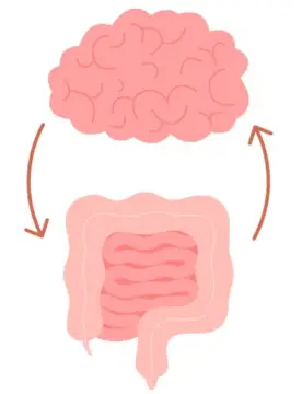 intestino cerebro jpg